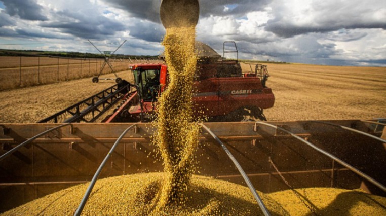 Paraná se destaca nas exportações em 2022, mas importados 'zeram' balança comercial